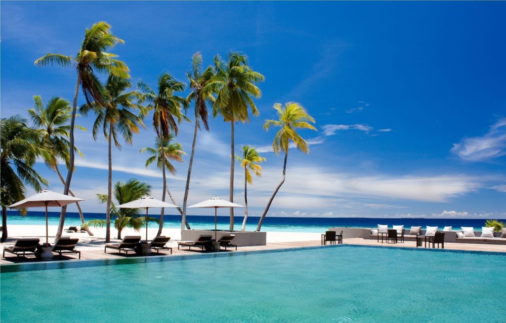 a pool with palm trees and chairs on a beach