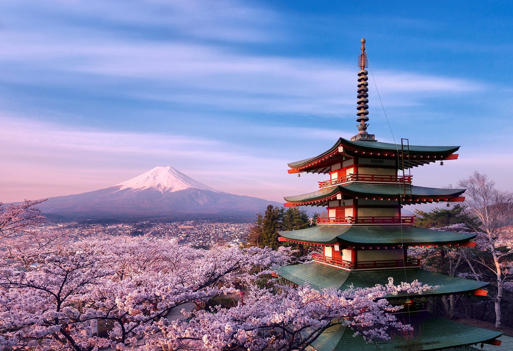 Sakura Season How To Plan Perfect Cherry Blossom Trips To Japan