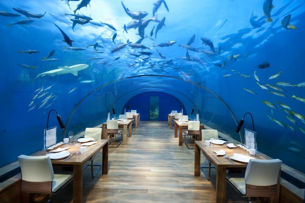 a restaurant with tables and chairs under water
