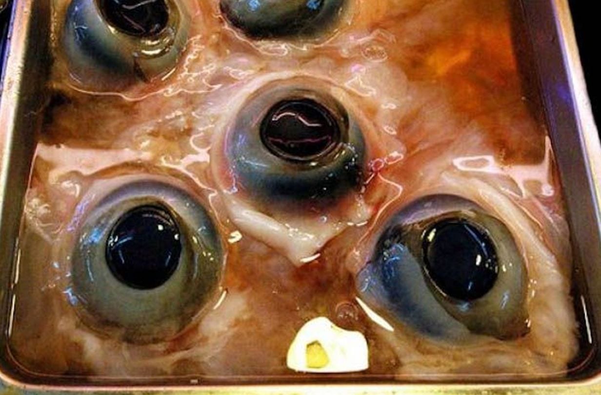 Image result for tuna eyeballs