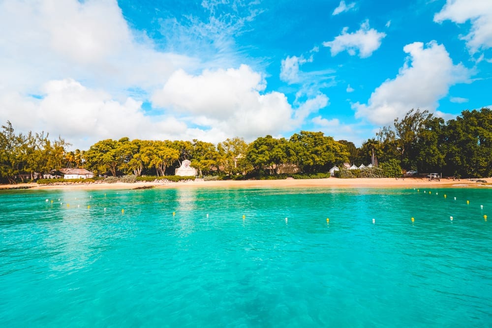 a body of water with trees and a beach