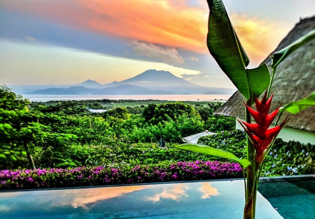 a red flower on a glass table with a mountain in the background