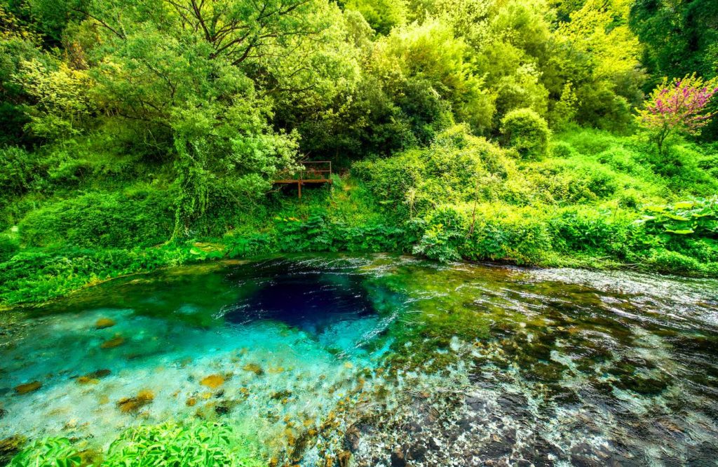 a blue pool in a forest