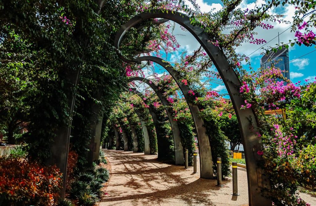 a walkway with trees and flowers