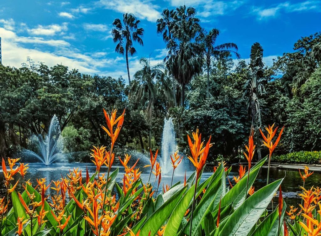 a water fountain with orange flowers and trees in the background