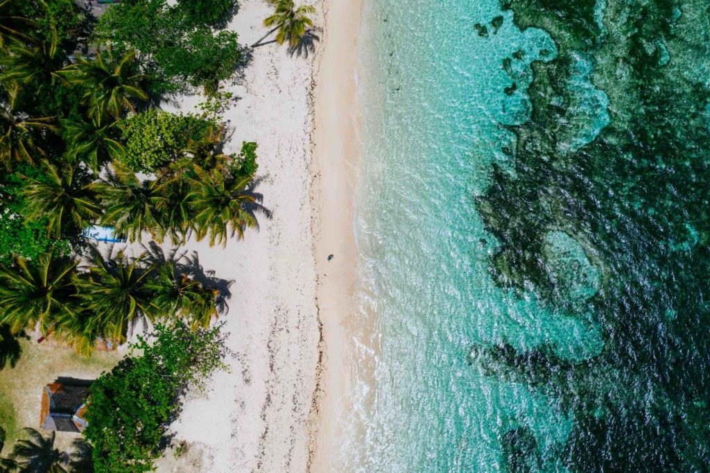 a beach with palm trees and blue water