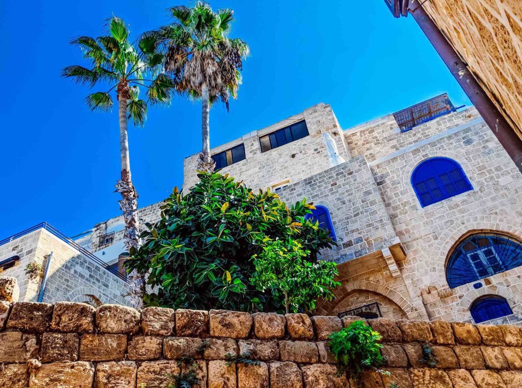 a building with palm trees and a stone wall