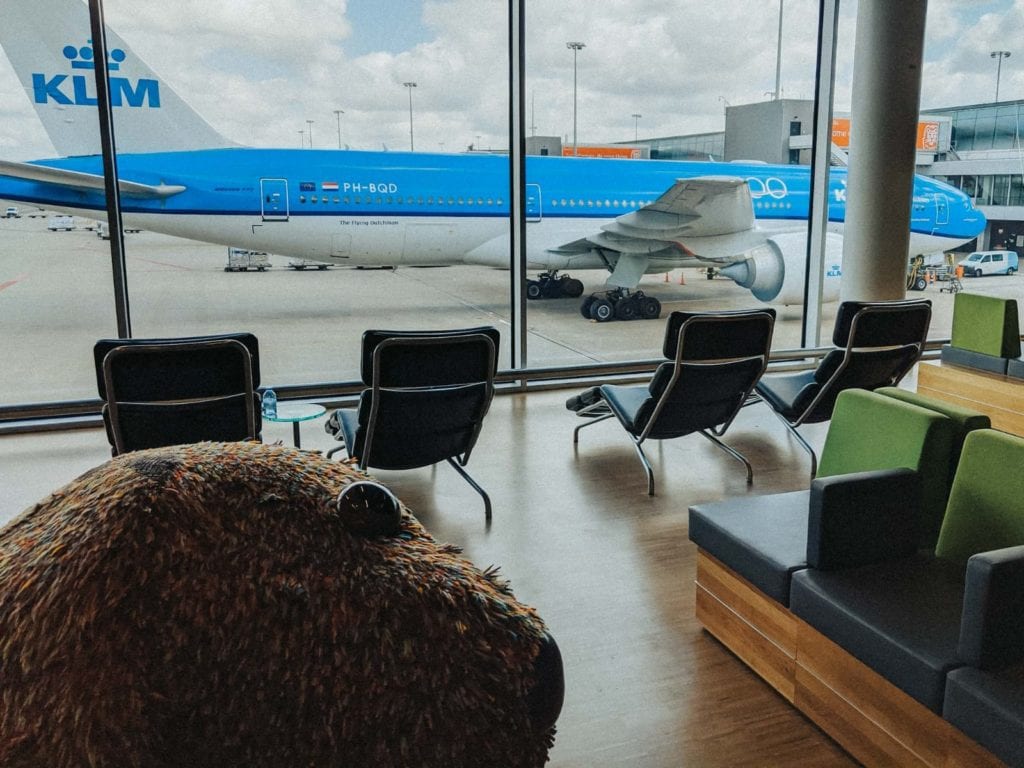 a plane in a room with chairs and a window