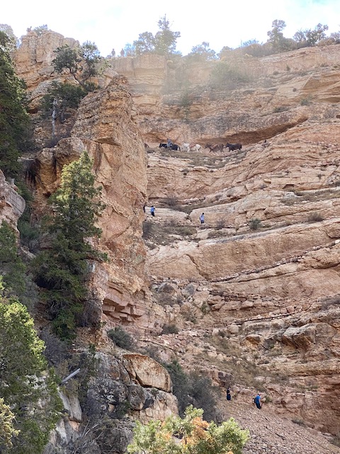 people walking on a rocky cliff