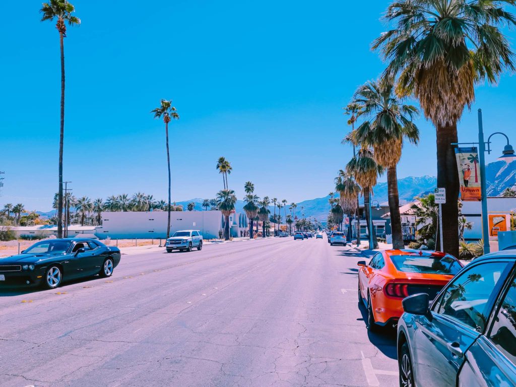 a street with palm trees and cars