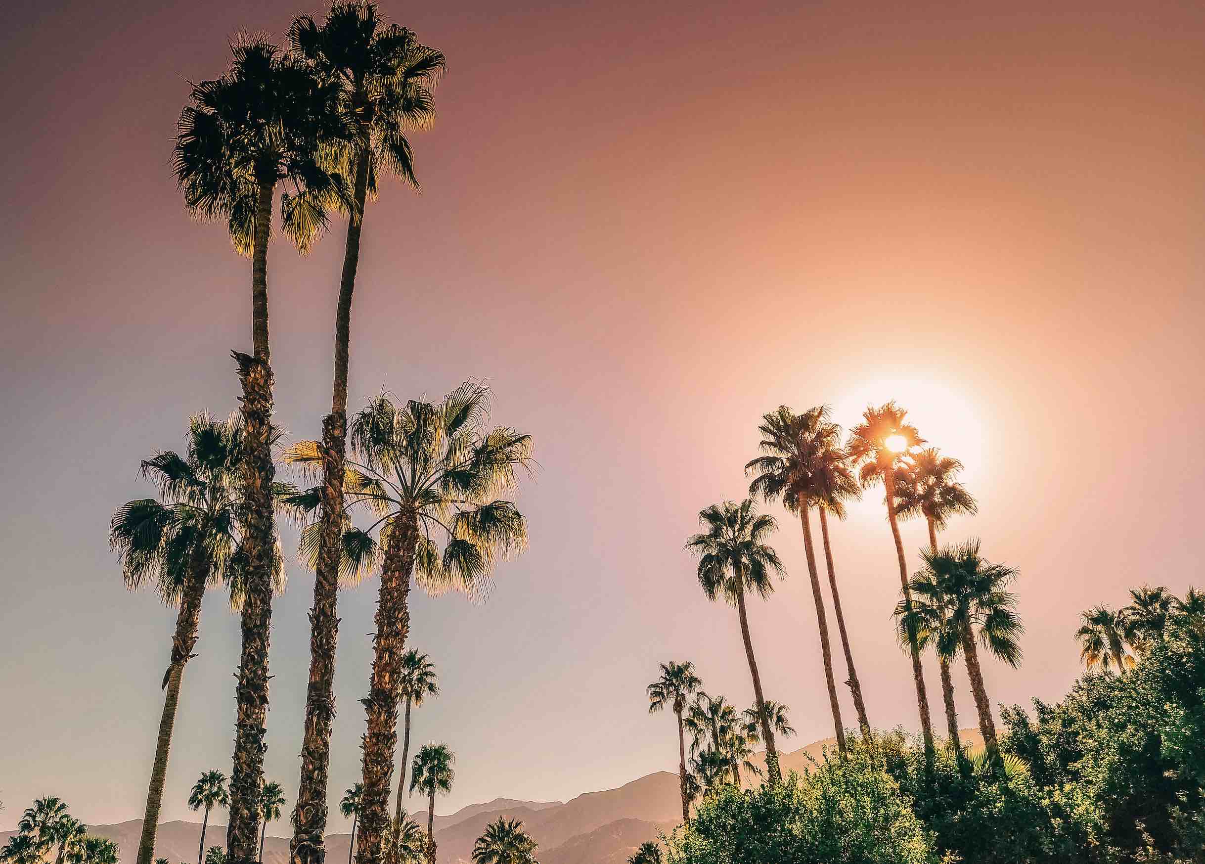 Palm Springs Travel Guide: 48 Hours Of Fun In Desert Paradise With Tips