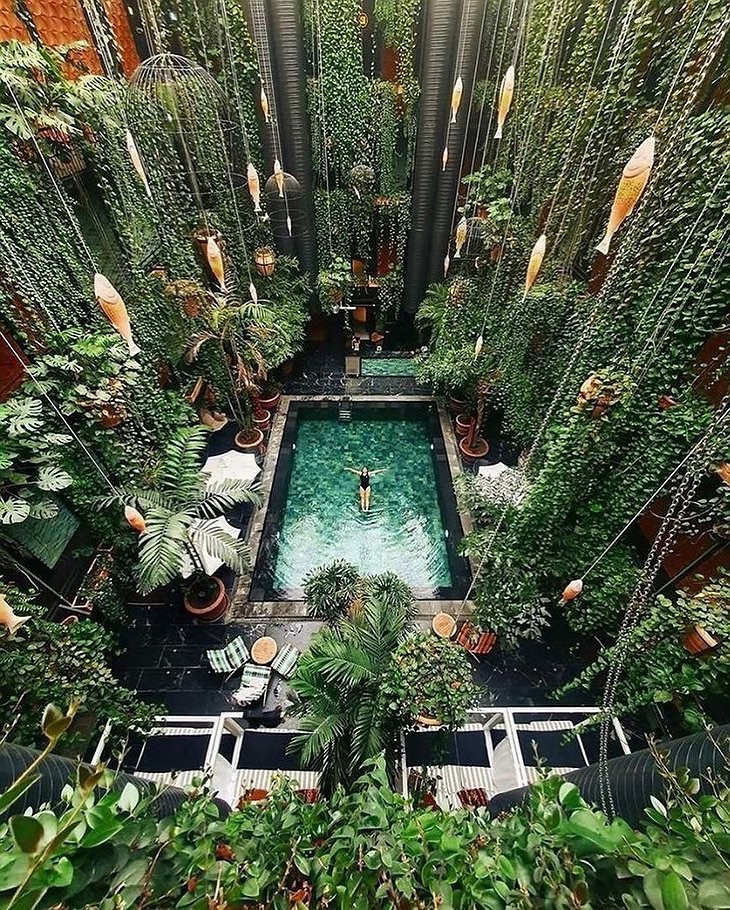 a swimming pool surrounded by plants