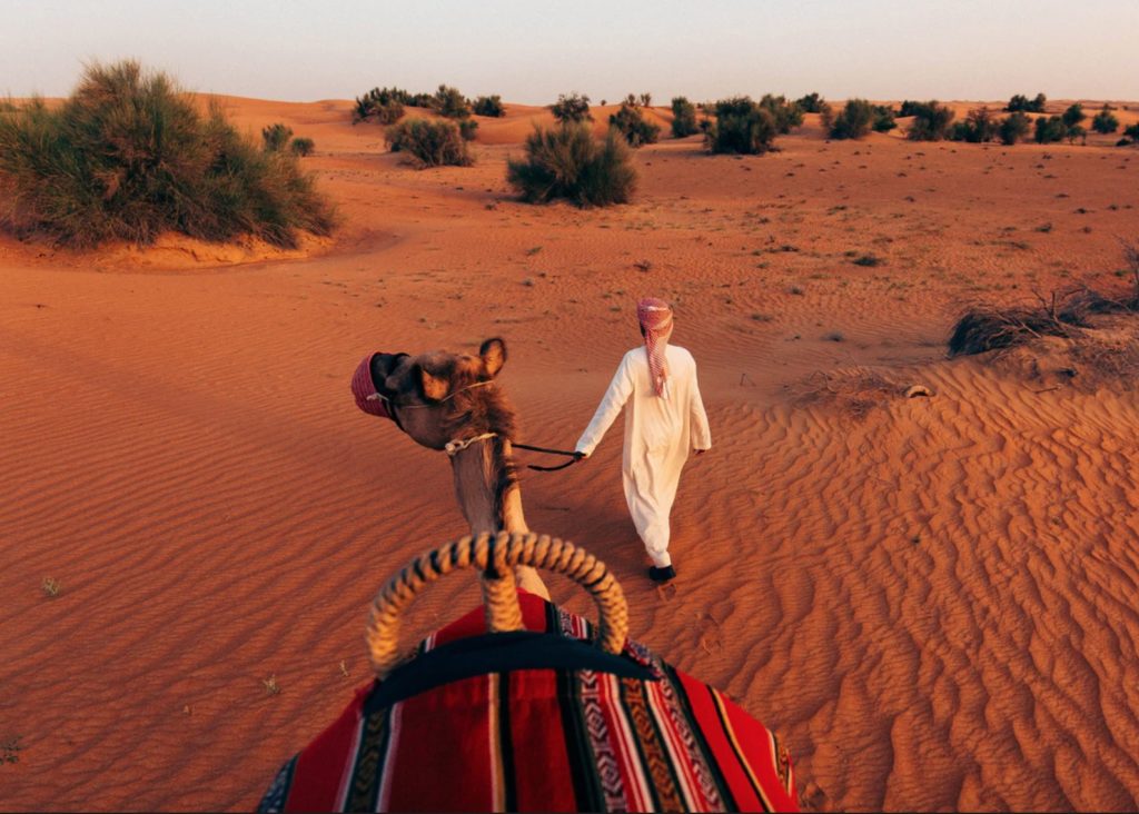 a person walking a camel through the desert