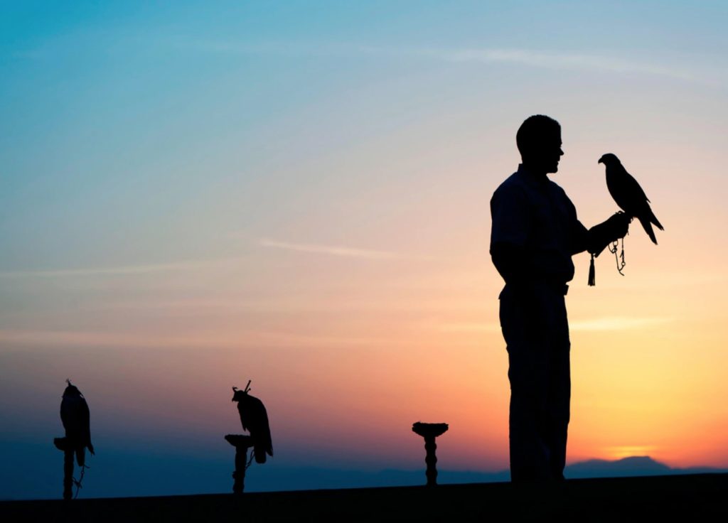 a silhouette of a man holding a bird
