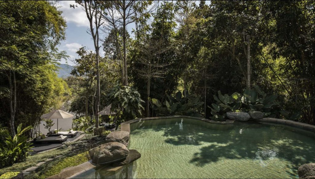 a pool surrounded by trees