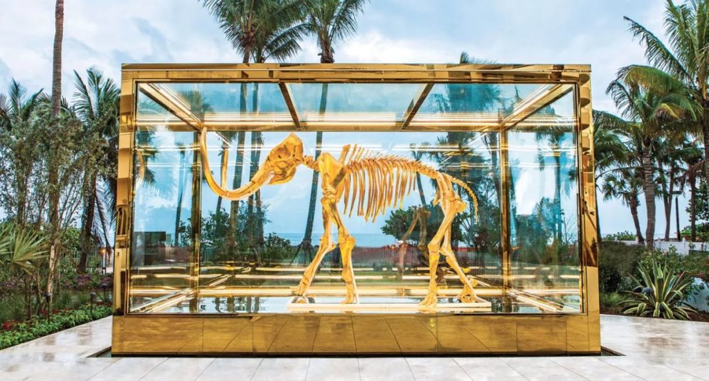 a skeleton of an elephant in a glass case